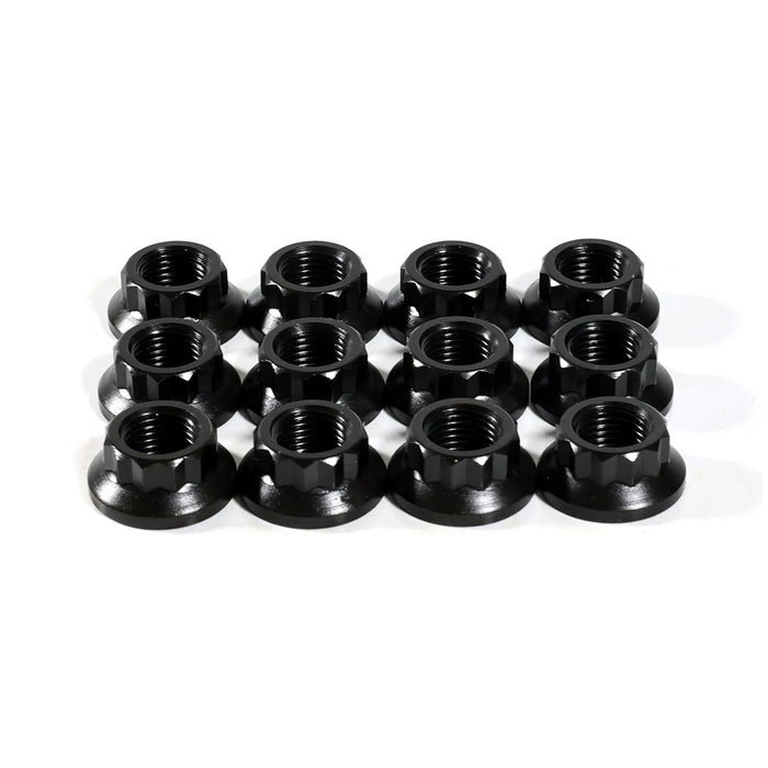 12-Point Nuts M12 x 1.25 Thread, Socket Size 16mm x 12 pcs