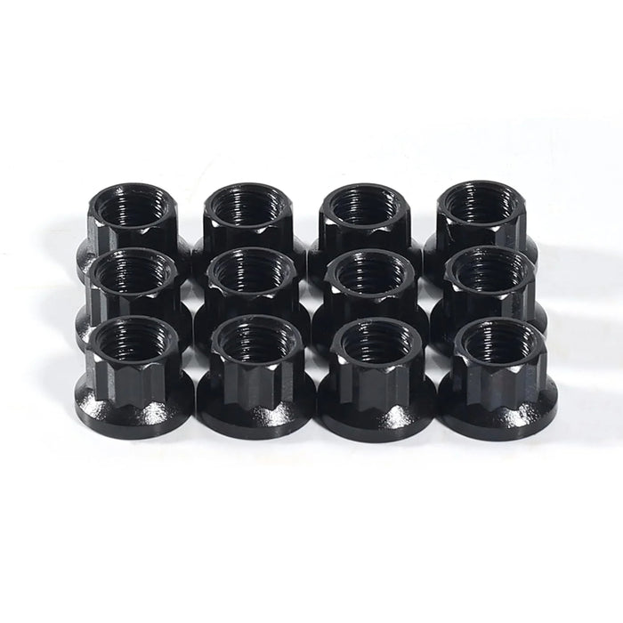 12-Point Nuts 5/16"-24, Socket Size 3/8 in. x 12 pcs